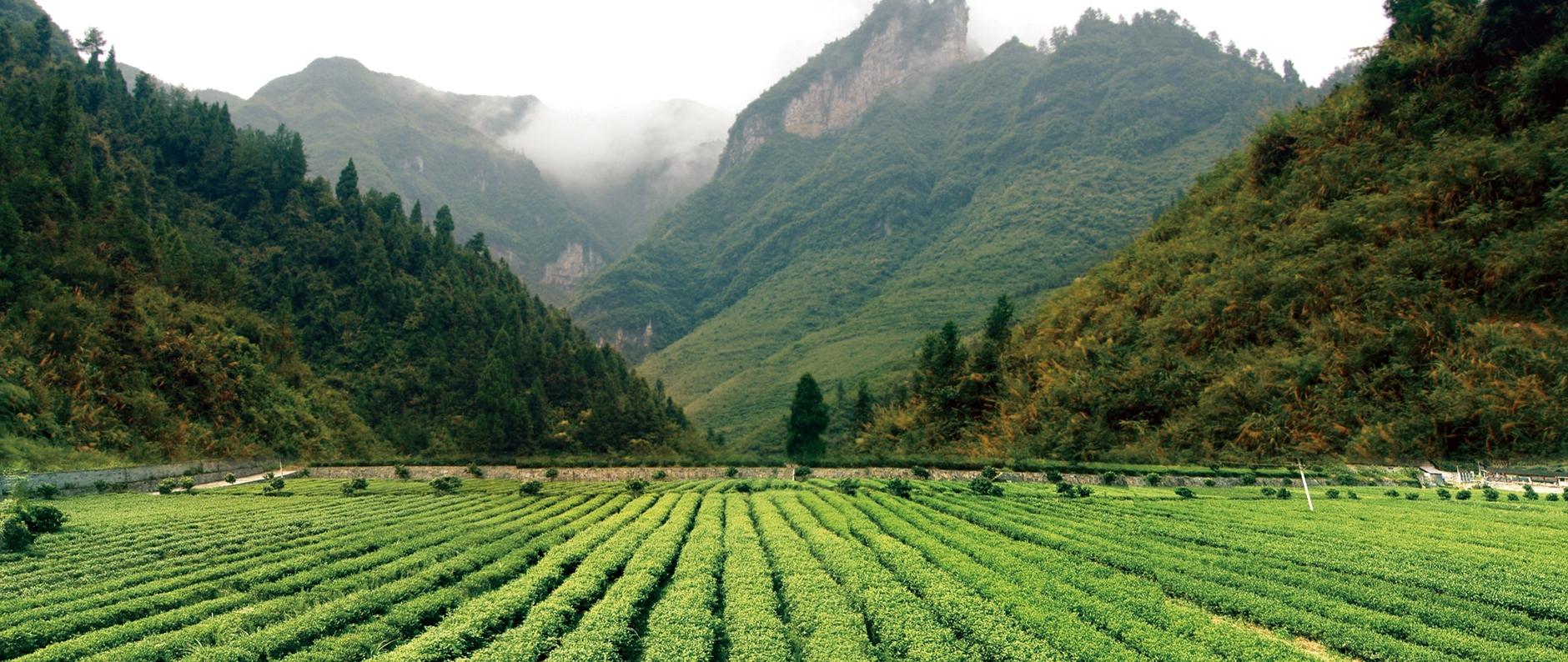 首页|尊龙人生就是博官网入口