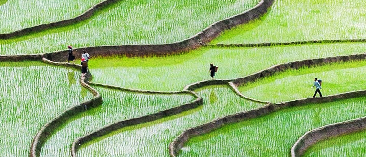 首页|尊龙人生就是博官网入口