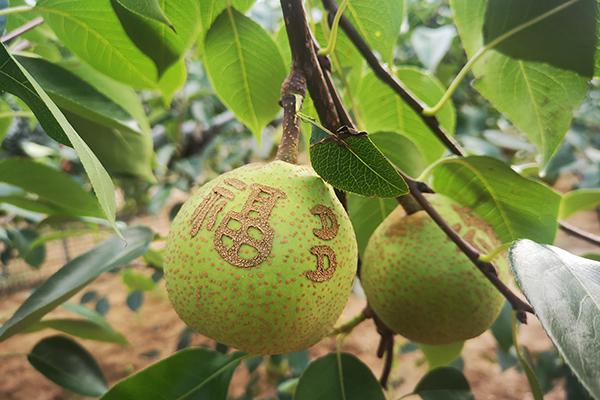 首页|尊龙人生就是博官网入口